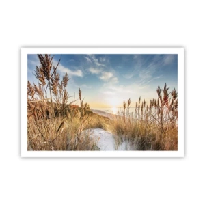 Plagát - Severná pláž - 91x61 cm