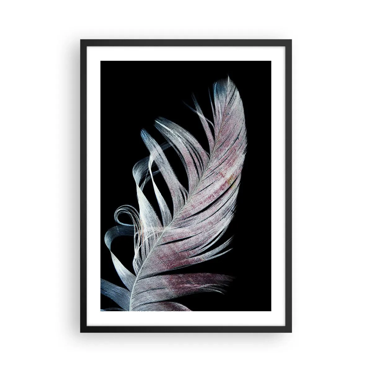 Plagát v čiernom ráme - Pierko v jemných odtieňoch ružovej a modrej na čiernom pozadí - 50x70cm - Premýšľajte o dotyku - Moderná nástenná dekorácia do obývacej izby a spálne ARTTOR