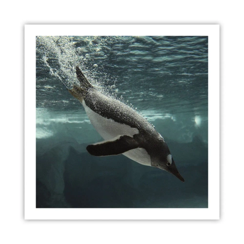 Plagát - Vitajte v mojom svete - 60x60 cm