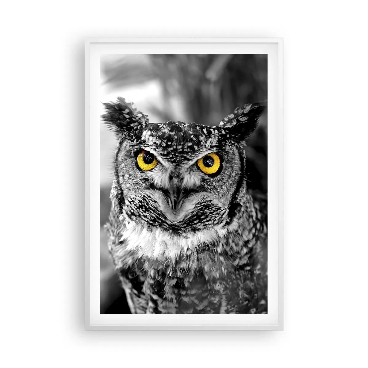 Plagát v bielom ráme - Nič sa neschová - 61x91 cm