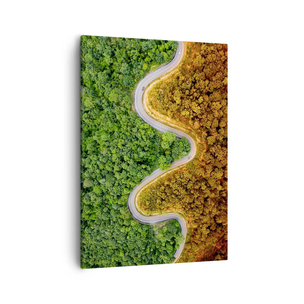 Obraz na plátne - Hranice a prelomy - 50x70 cm