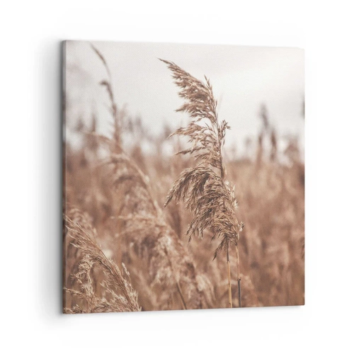 Obraz na plátne - Na poliach už je jeseň - 50x50 cm