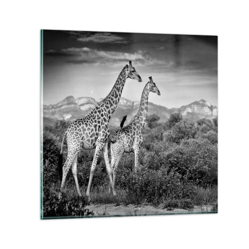 Obraz na skle - Vyššie kruhy v Afrike - 30x30 cm