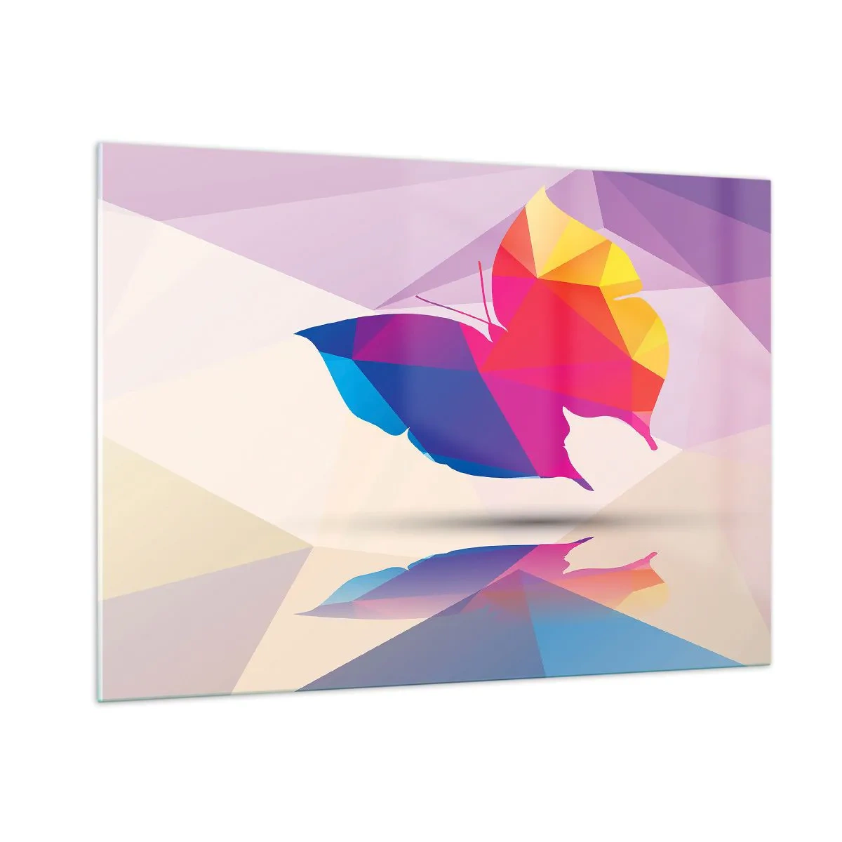 Obraz na skle - Motýlia dúha - 100x70 cm