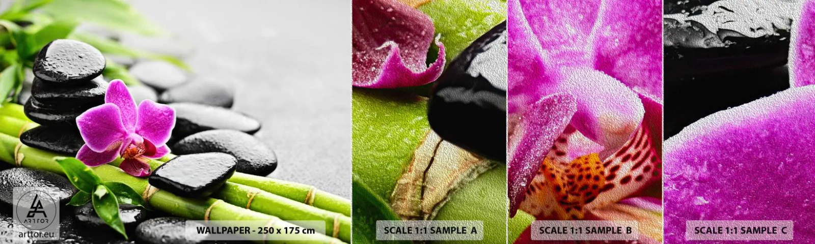 Vzorka fototapety Premium Sand - V pokojnej rovnováhe - Kvety, Orchidea, Orchidea - 100x30 cm