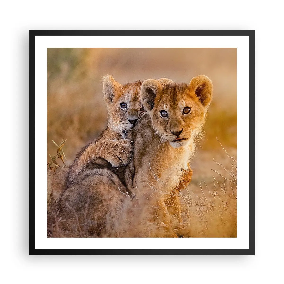 Plagát v čiernom ráme - Nevyrušovať! Hrajme sa - 60x60 cm