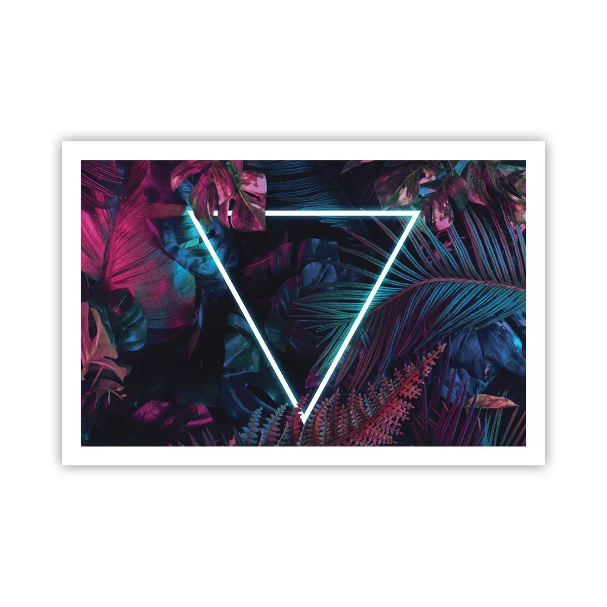 Plagát - Záhrada v disco štýle - 91x61 cm
