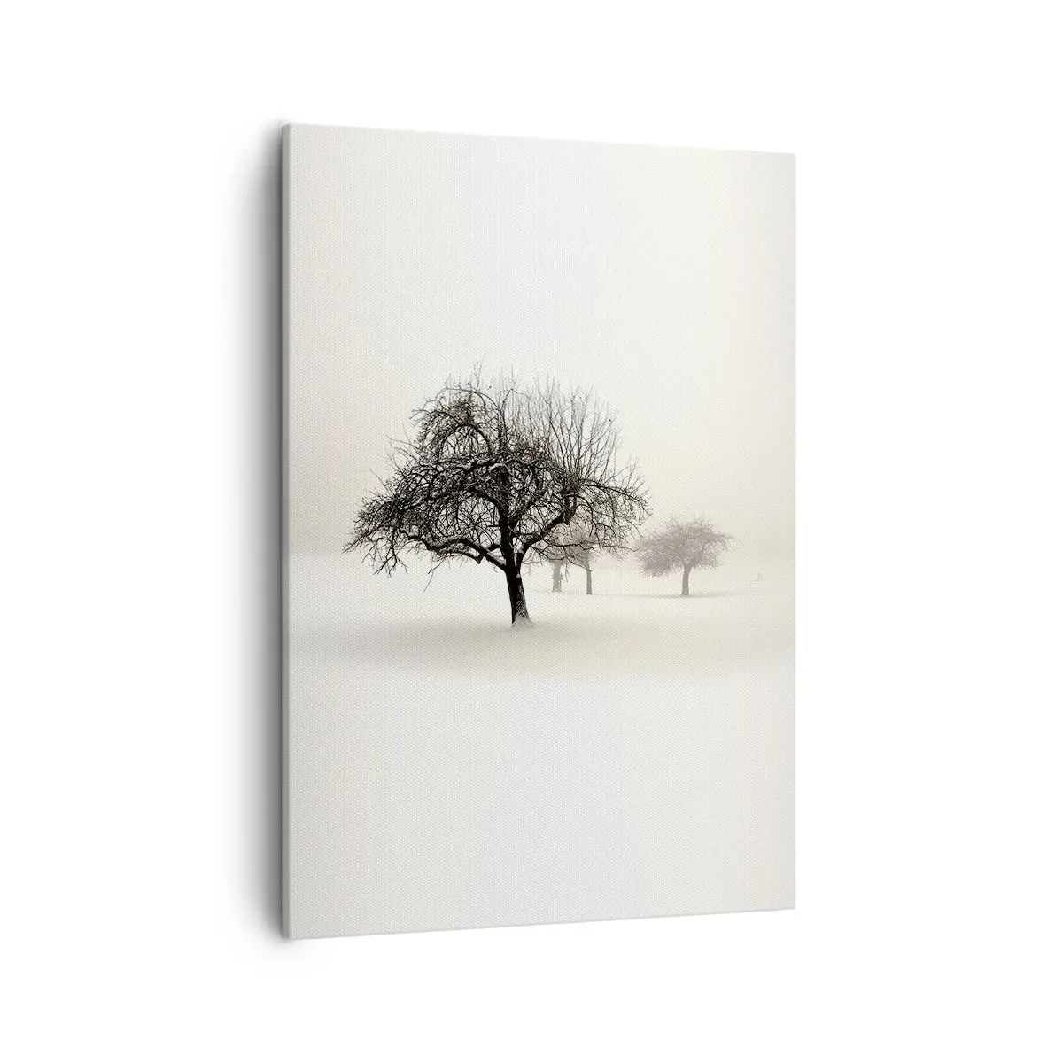 Obraz na plátne - Zimný sen - 50x70 cm