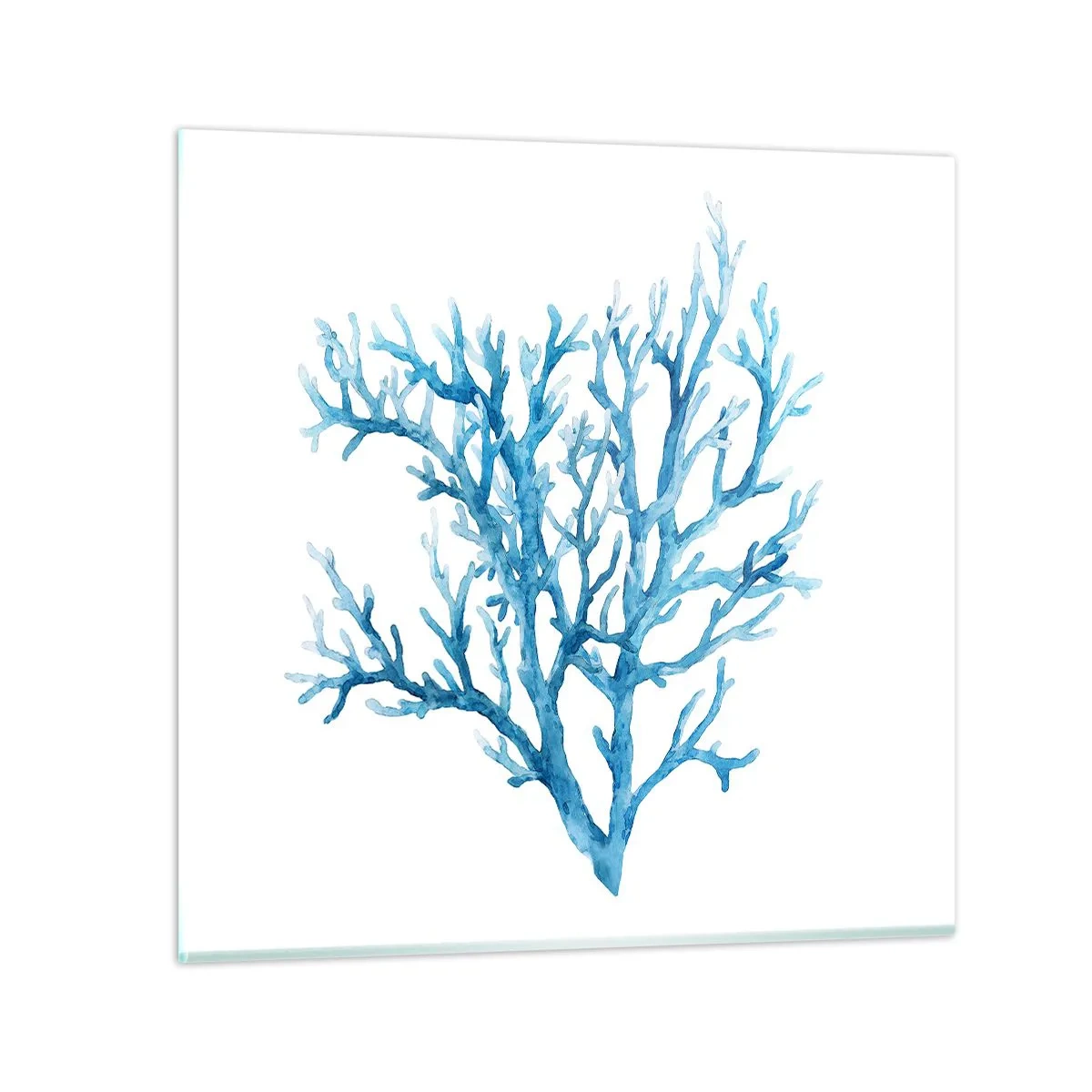 Obraz na skle - Morský filigrán - 60x60 cm