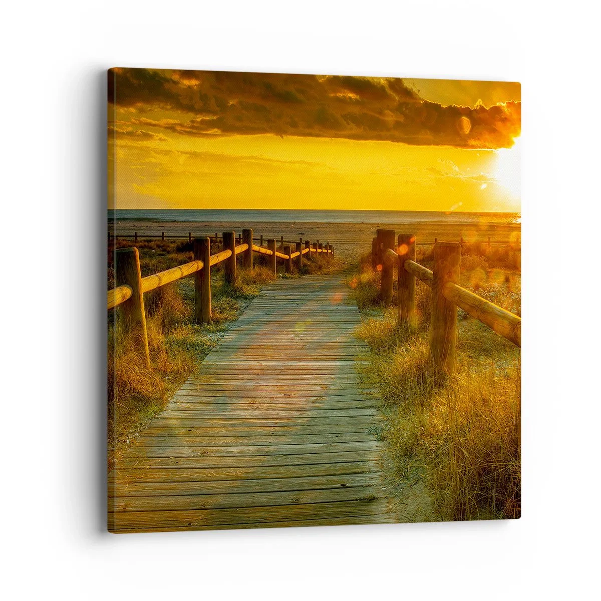 Obraz na plátne - Vykúpané v starom zlate - 40x40 cm