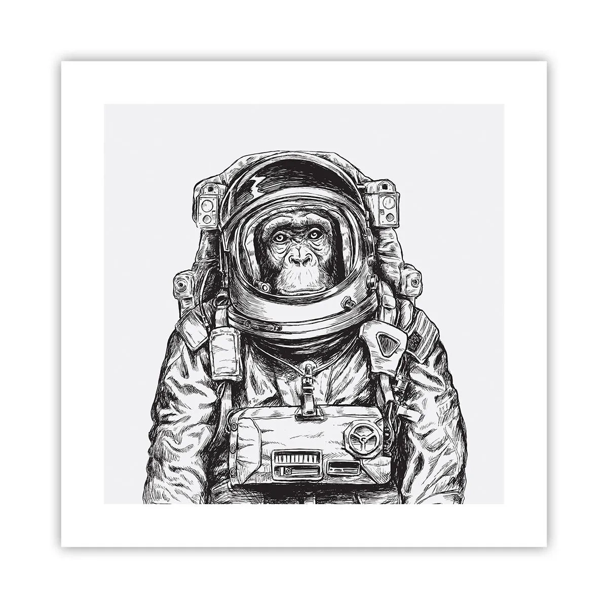 Plagát - Alternatívny vývoj - 40x40 cm