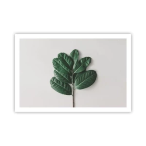 Plagát - Kresba samotnej prírody - 91x61 cm