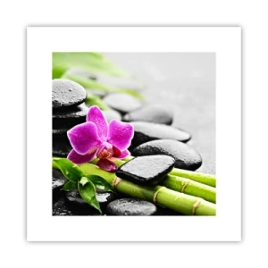 Plagát - V pokojnej rovnováhe - 30x30 cm