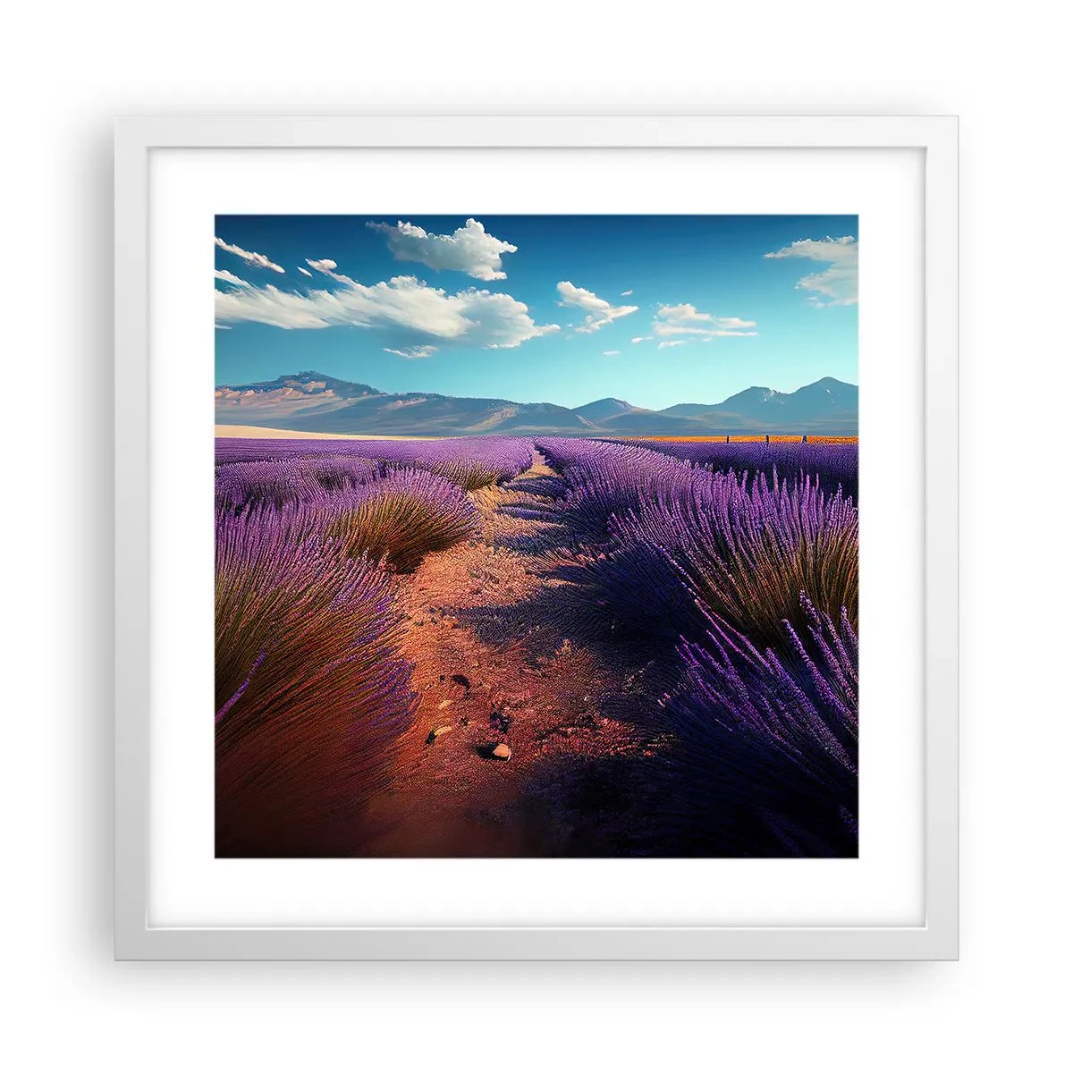 Plagát v bielom ráme - Voňavé polia - 40x40 cm