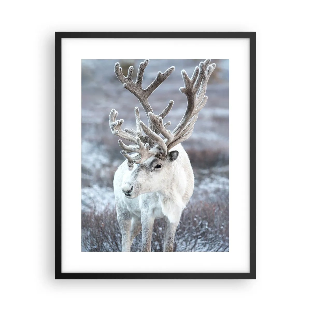 Plagát v čiernom ráme - Slnečný portrét - 40x50 cm