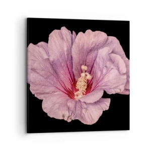 Obraz na plátne - Priamo do srdca - 70x70 cm