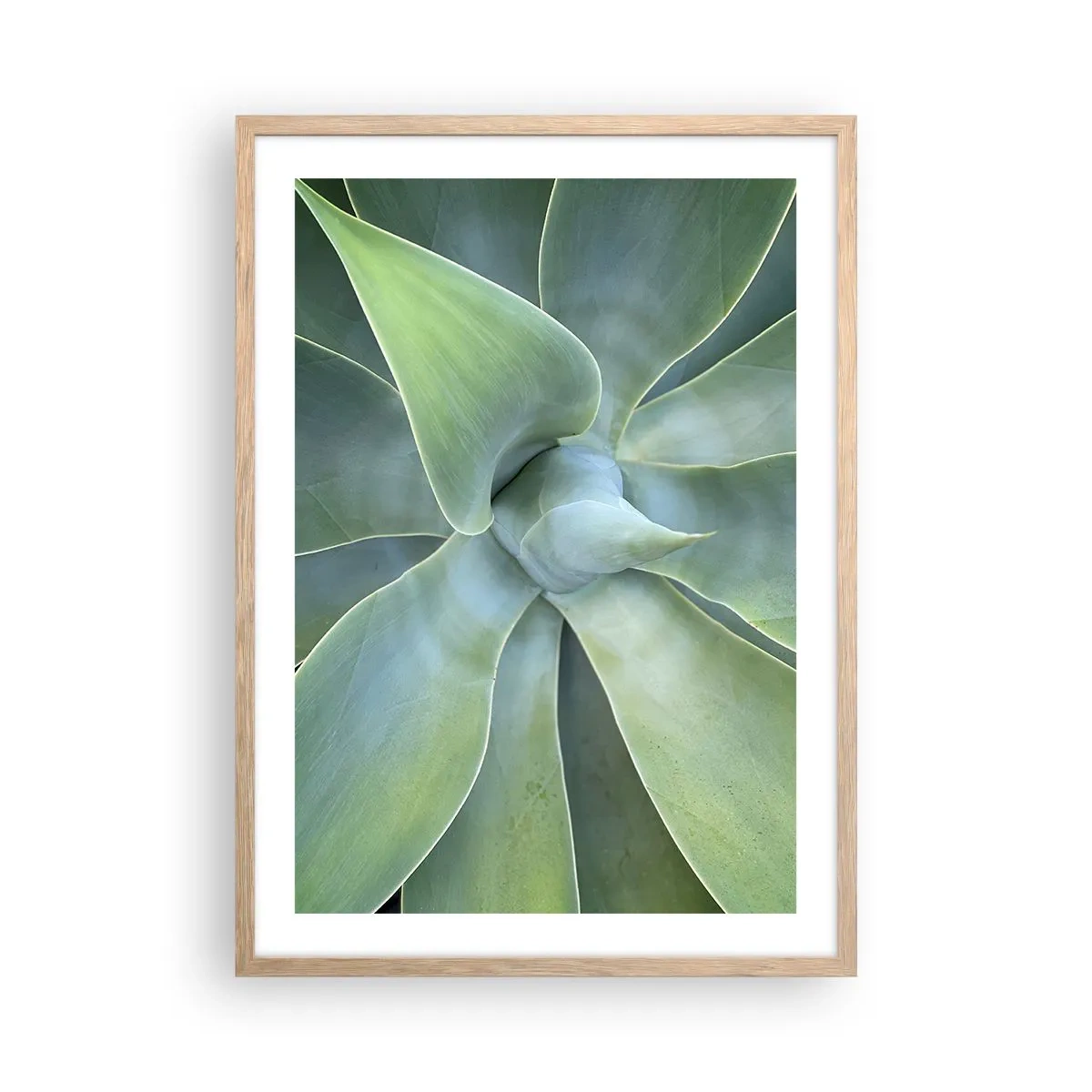 Plagát v ráme zo svetlého duba - Zrodenie zelene - 50x70 cm