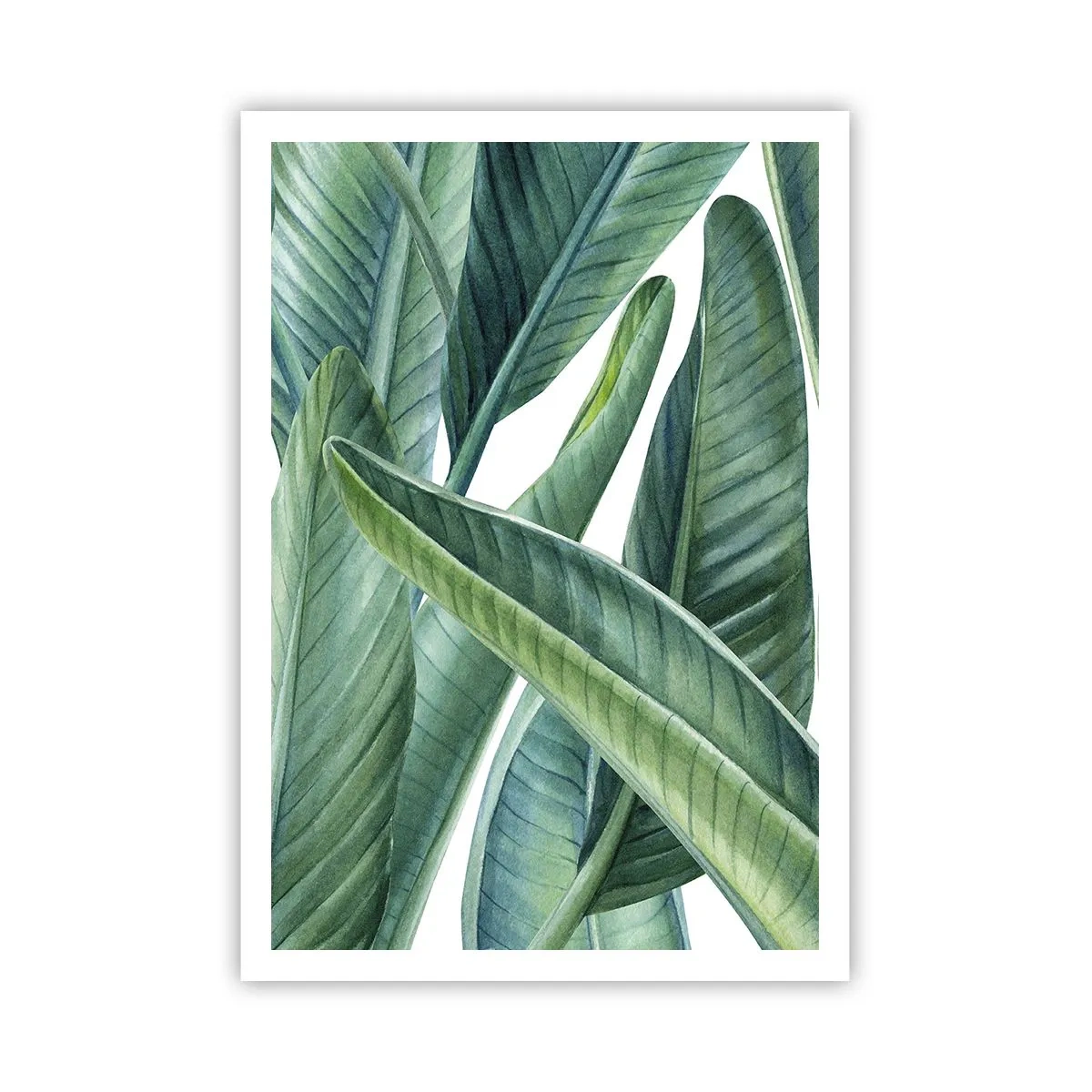 Plagát - Proste zelená - 70x100 cm