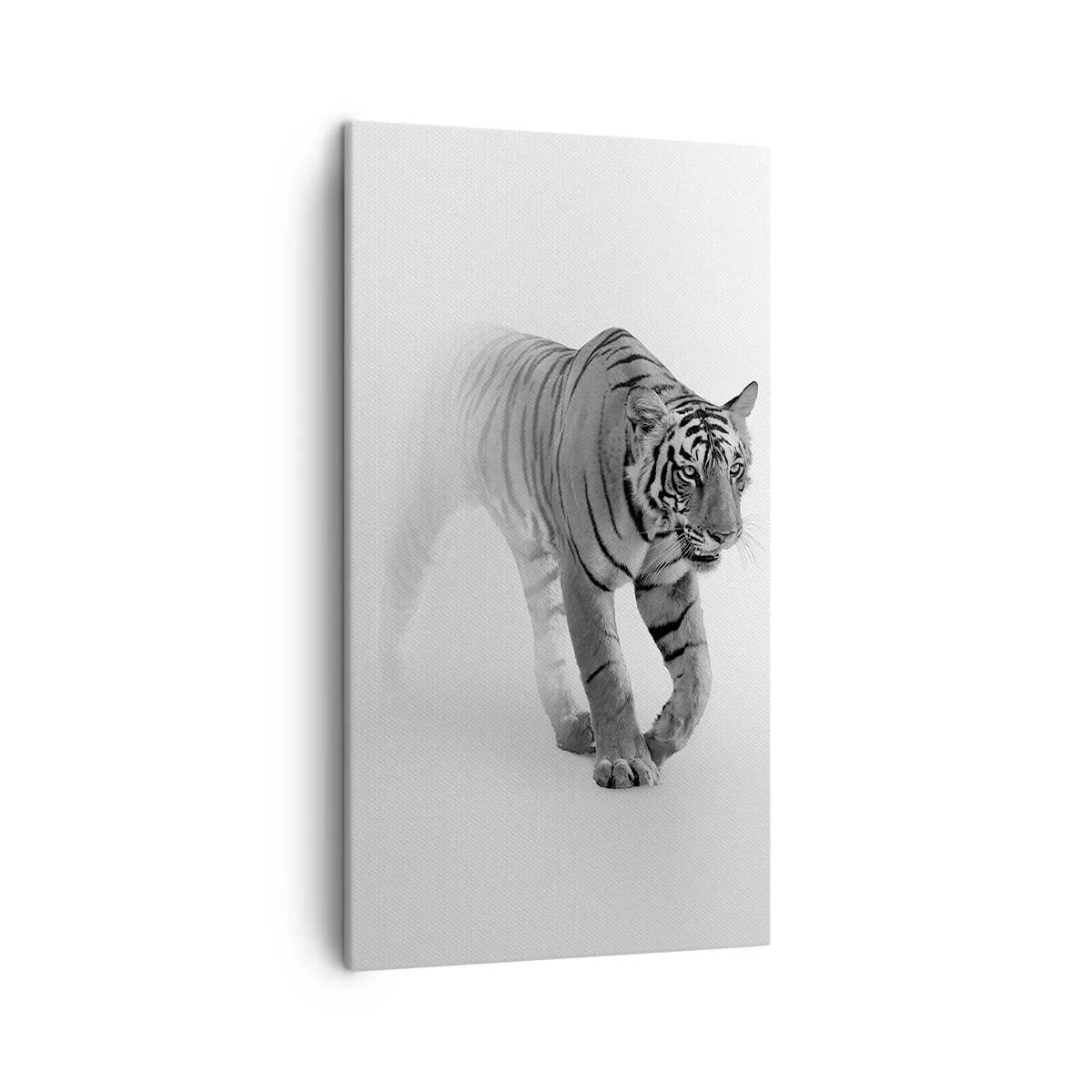 Obraz na plátne - Prikrčený v hmle - 45x80 cm