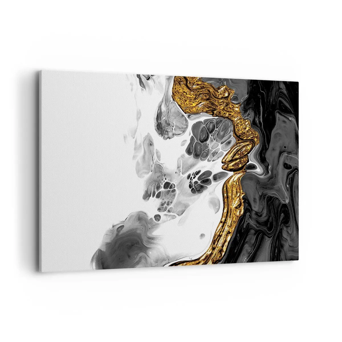 Obraz na plátne - Organická kompozícia - 100x70 cm