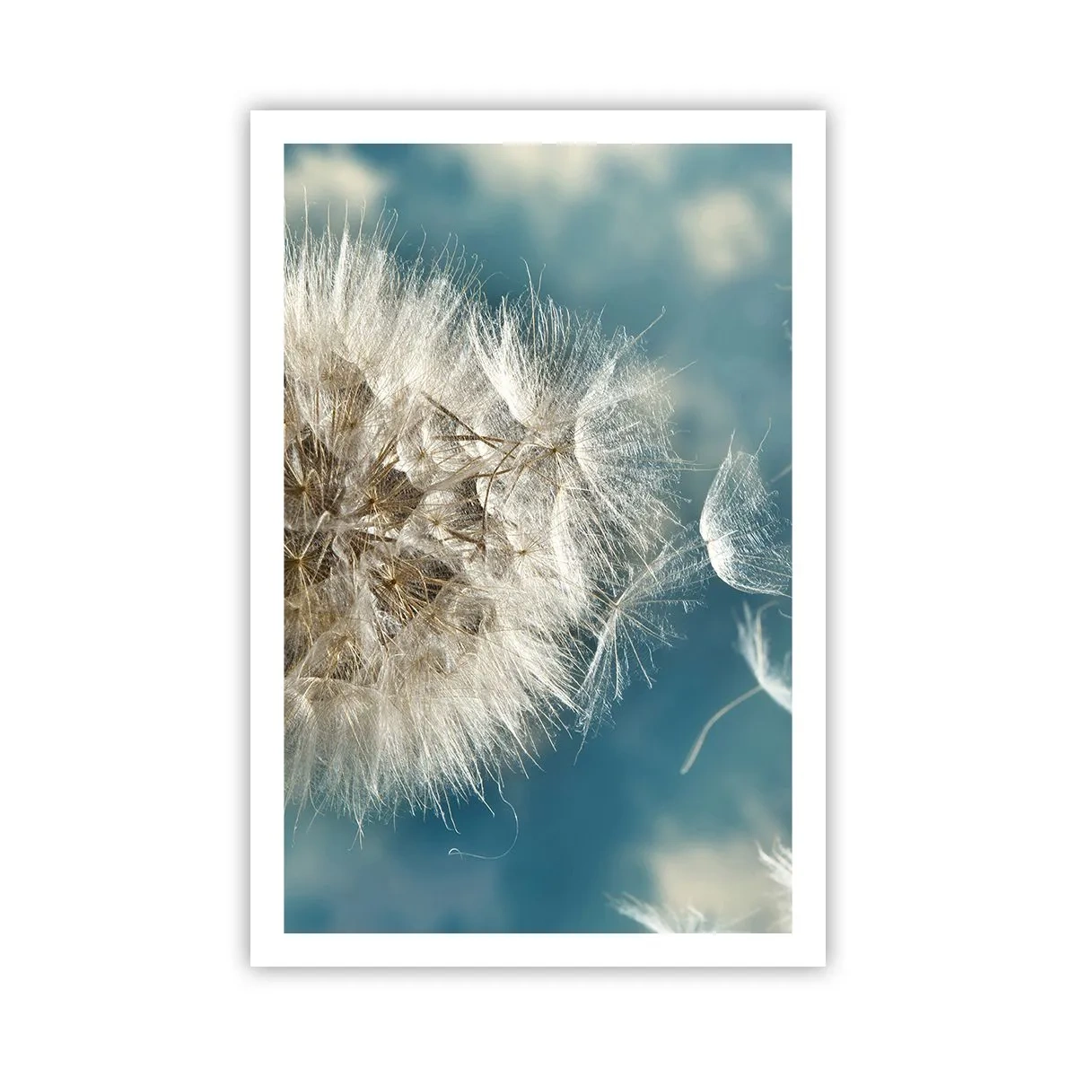 Plagát - Dych anjela - 61x91 cm