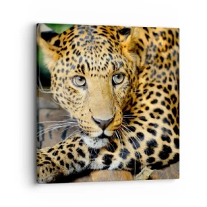 Obraz na plátne - Neboj sa, prístup - 30x30 cm