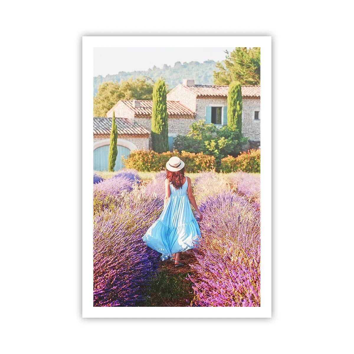 Plagát - Levanduľové dievča - 61x91 cm