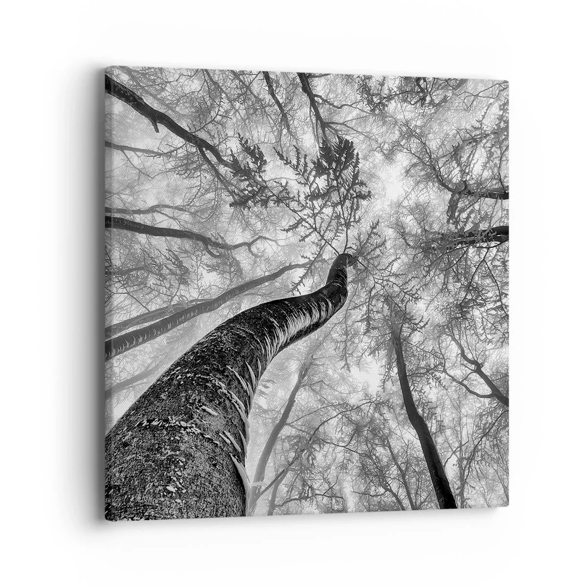 Obraz na plátne - Závod ku svetlu - 40x40 cm