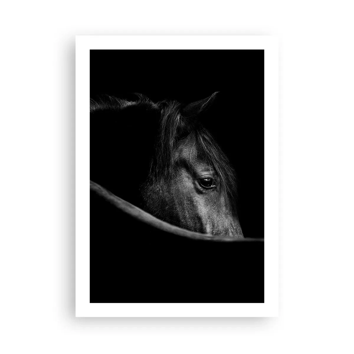 Plagát - Čierny knieža - 50x70 cm