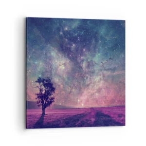 Obraz na plátne - Pod magickou oblohou - 70x70 cm
