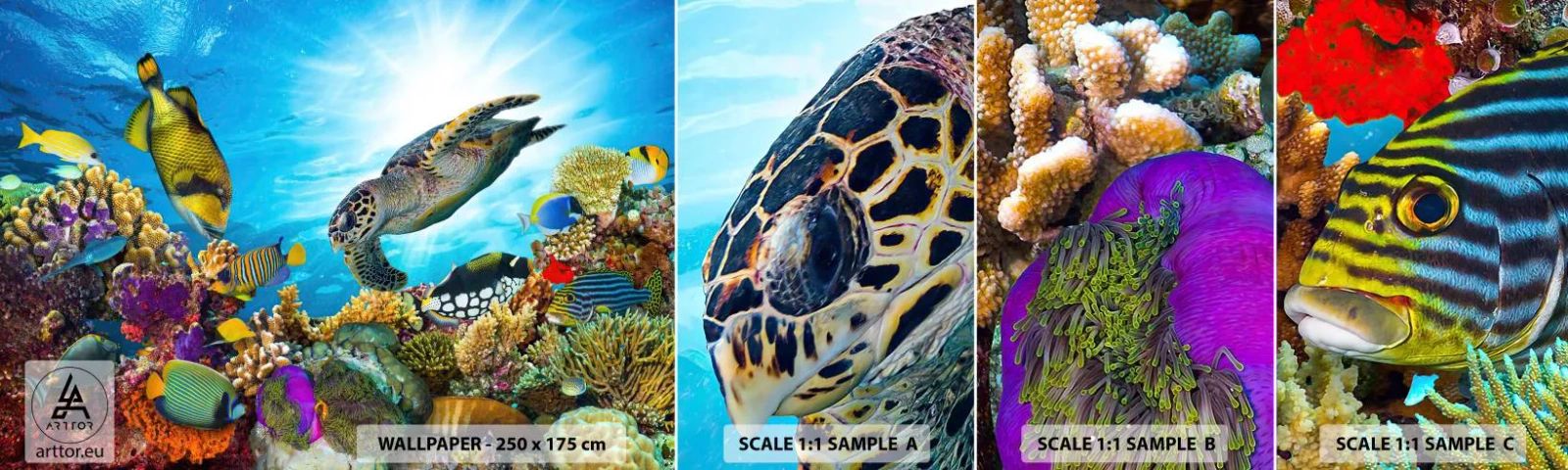 Vzorka samolepiacej fototapety Deluxe Sticker - Koralová promenáda - koralový útes, More, Podmorský svet - 100x30 cm