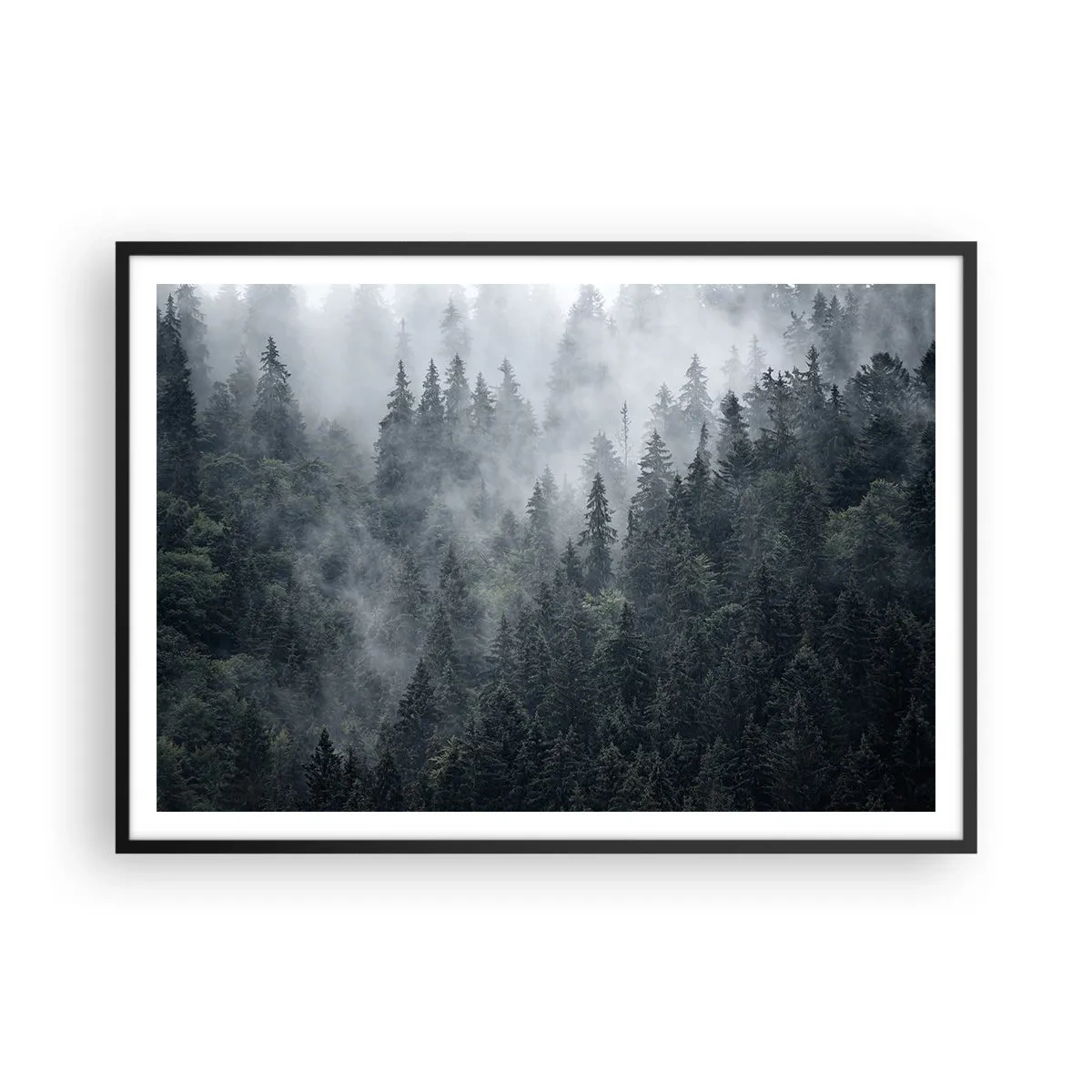 Plagát v čiernom ráme - Lesné svitania - 100x70 cm