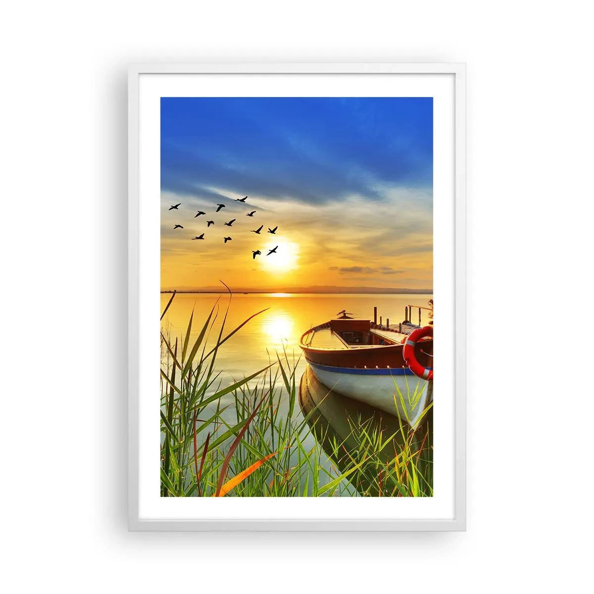 Plagát v bielom ráme - Kormorány už odlietajú - 50x70 cm