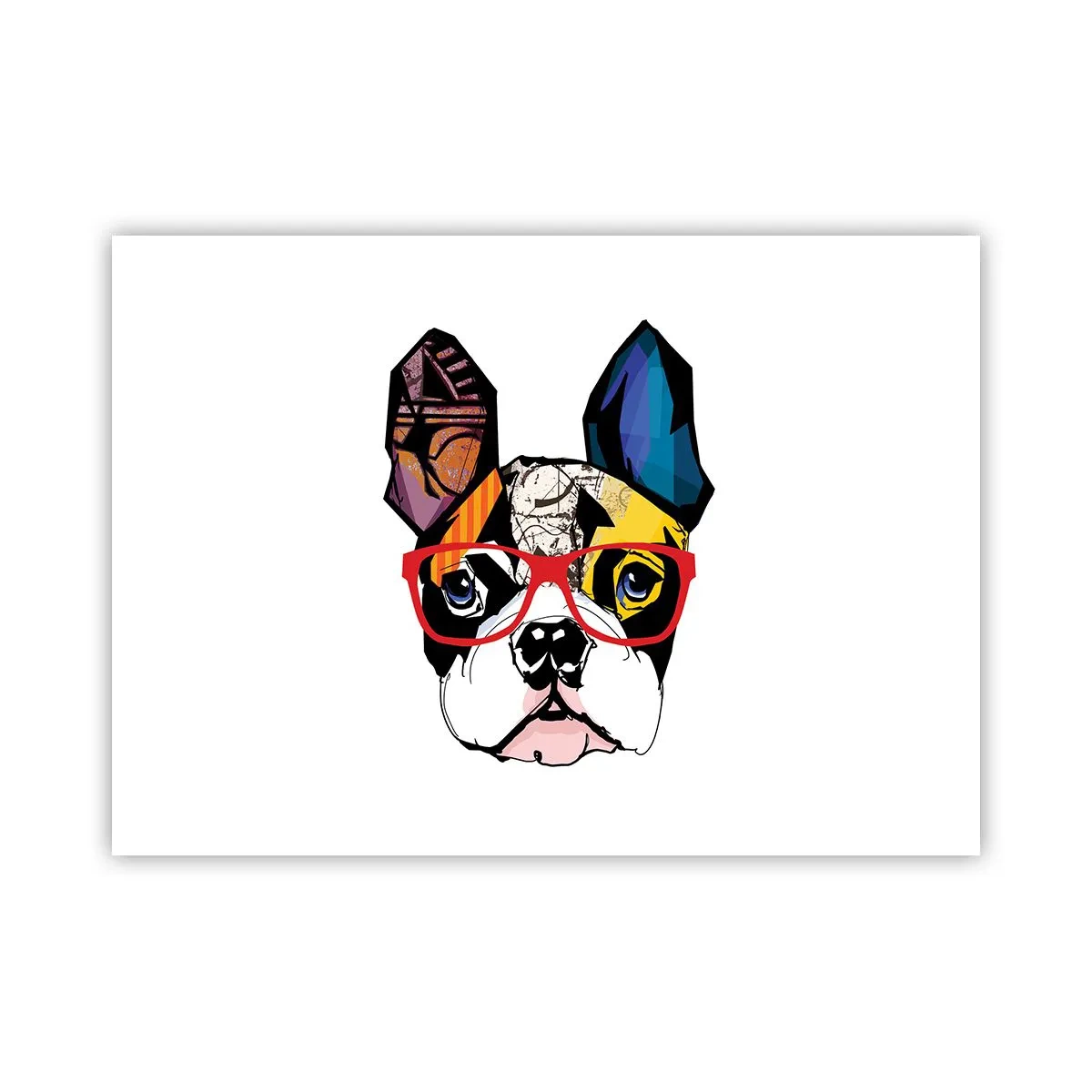 Plagát - Intelektuál - 70x50 cm