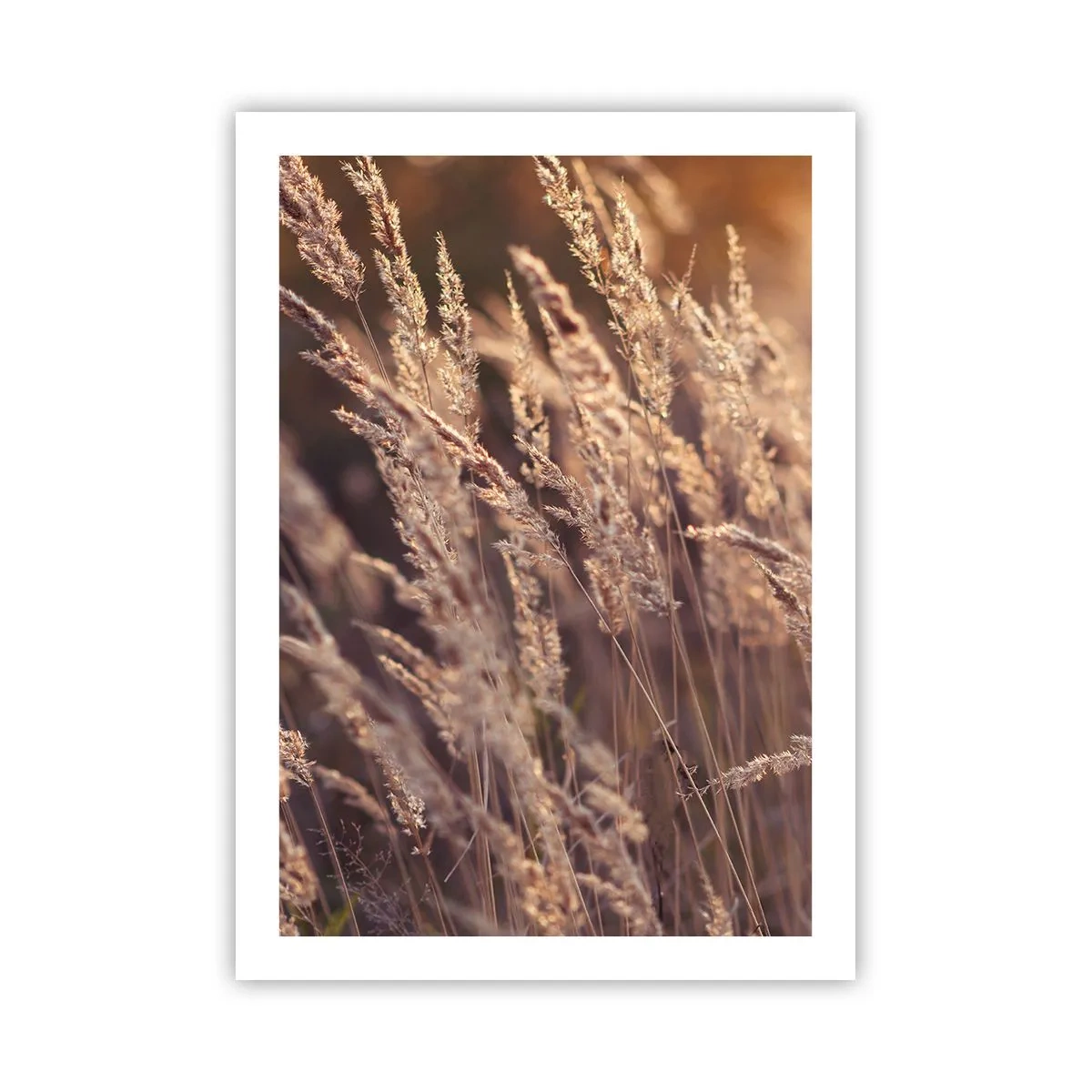 Plagát - Pripravení privítať jeseň - 50x70 cm