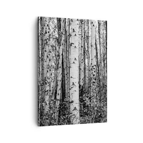 Obraz na plátne - Brezová kolonáda - 50x70 cm
