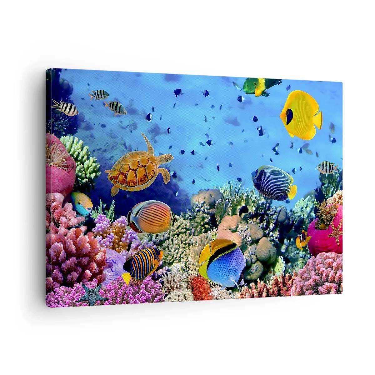 Obraz na plátne - Koralový útes s farebnými rybami a morskou korytnačkou - 70x50cm - Čo vieme o živote… - Moderná nástenná dekorácia do obývacej izby a spálne ARTTOR