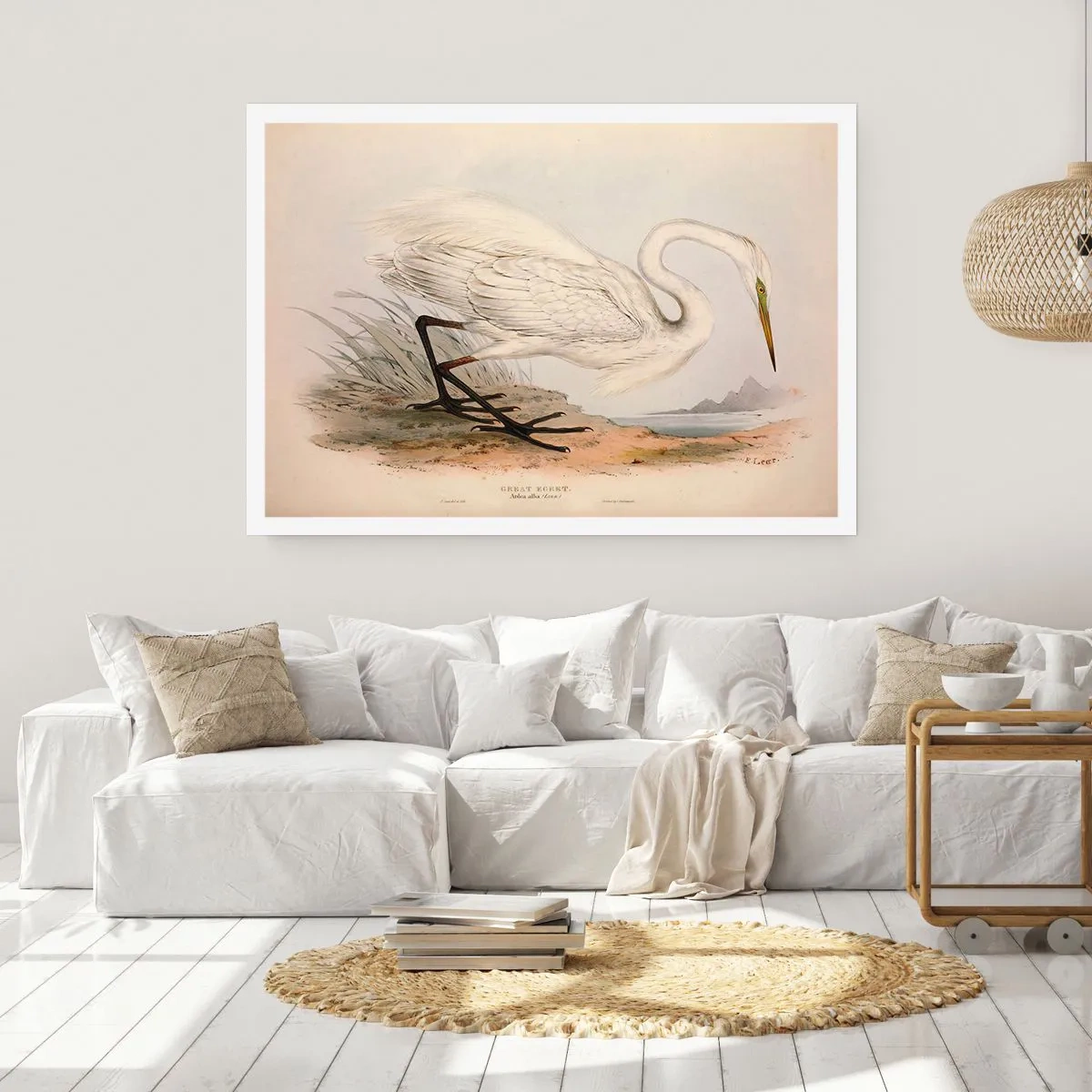 Plagát - Pani rákosín - 100x70 cm