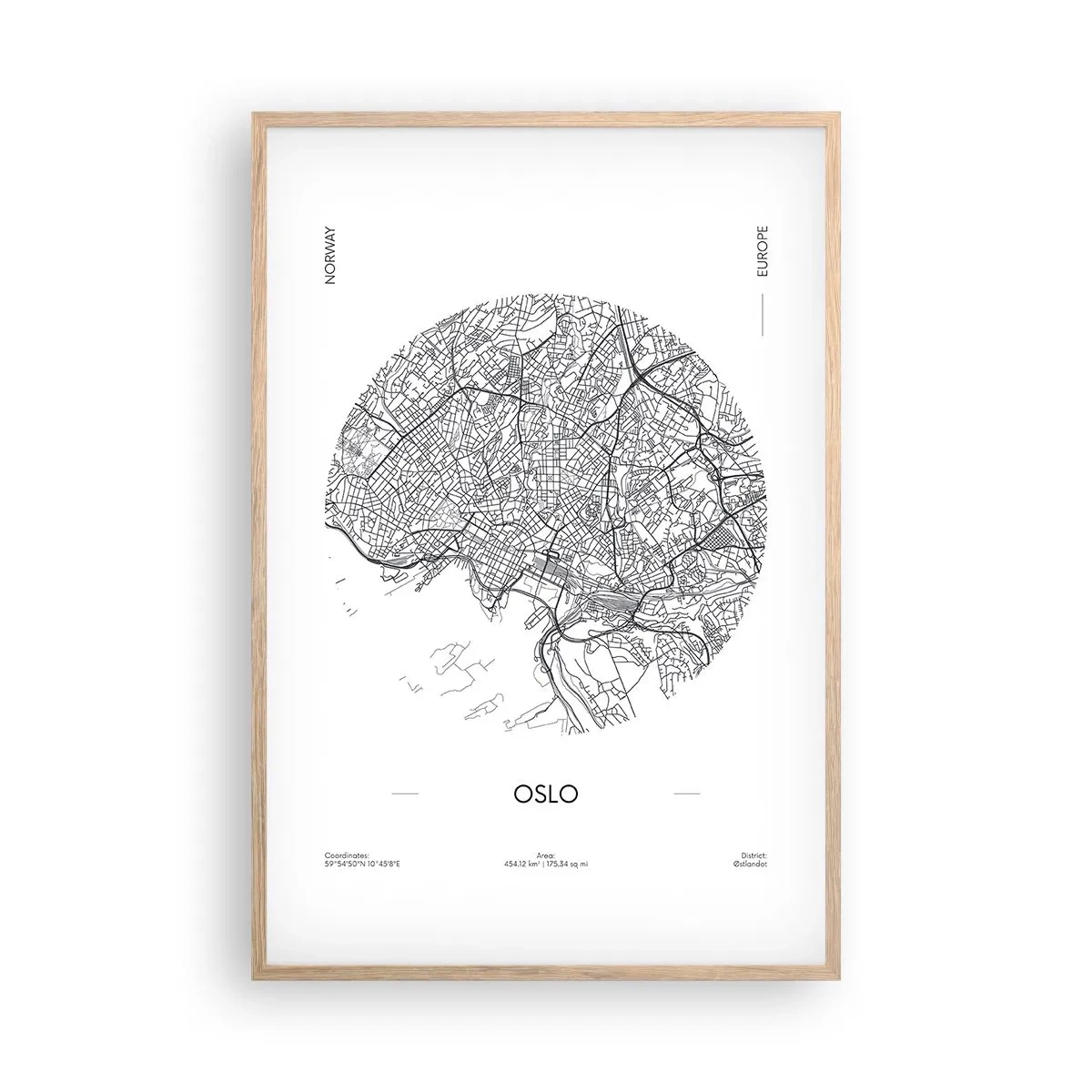 Plagát v ráme zo svetlého duba - Anatómia Osla - 61x91 cm