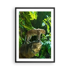 Plagát v čiernom ráme - Leopard stojaci na skale v tropickom lese - 50x70cm - Na lov? - Moderná nástenná dekorácia do obývacej izby a spálne ARTTOR
