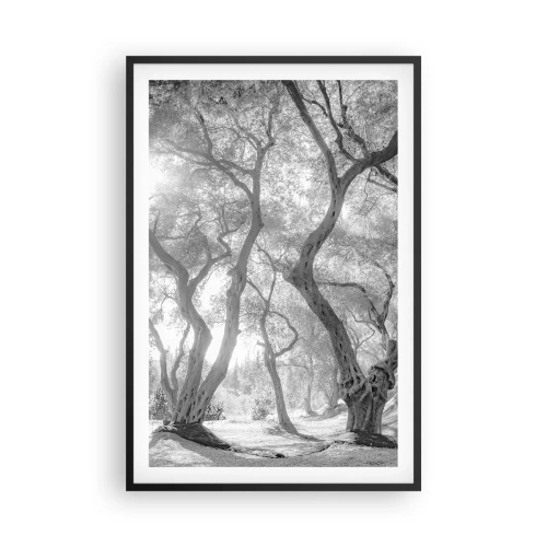 Plagát v čiernom ráme - V olivovom háji - 61x91 cm