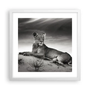 Plagát v bielom ráme - Odpočinok kráľovnej púšte - 40x40 cm