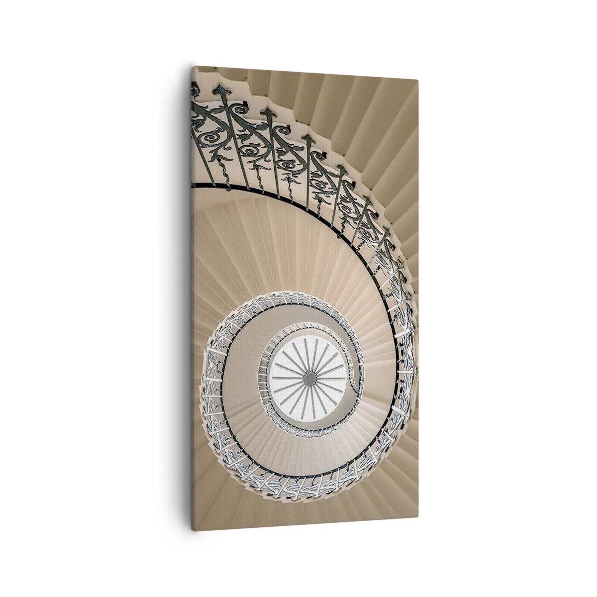 Obraz na plátne - Vnútri mušle - 55x100 cm