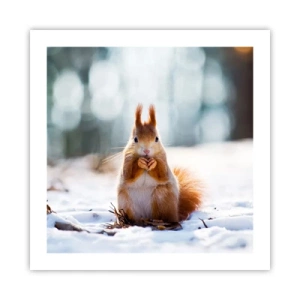 Plagát - Čo sa tak pozeráš? - 50x50 cm