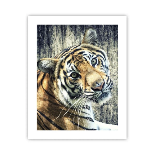 Plagát - Portrét v prameňoch svetla - 40x50 cm