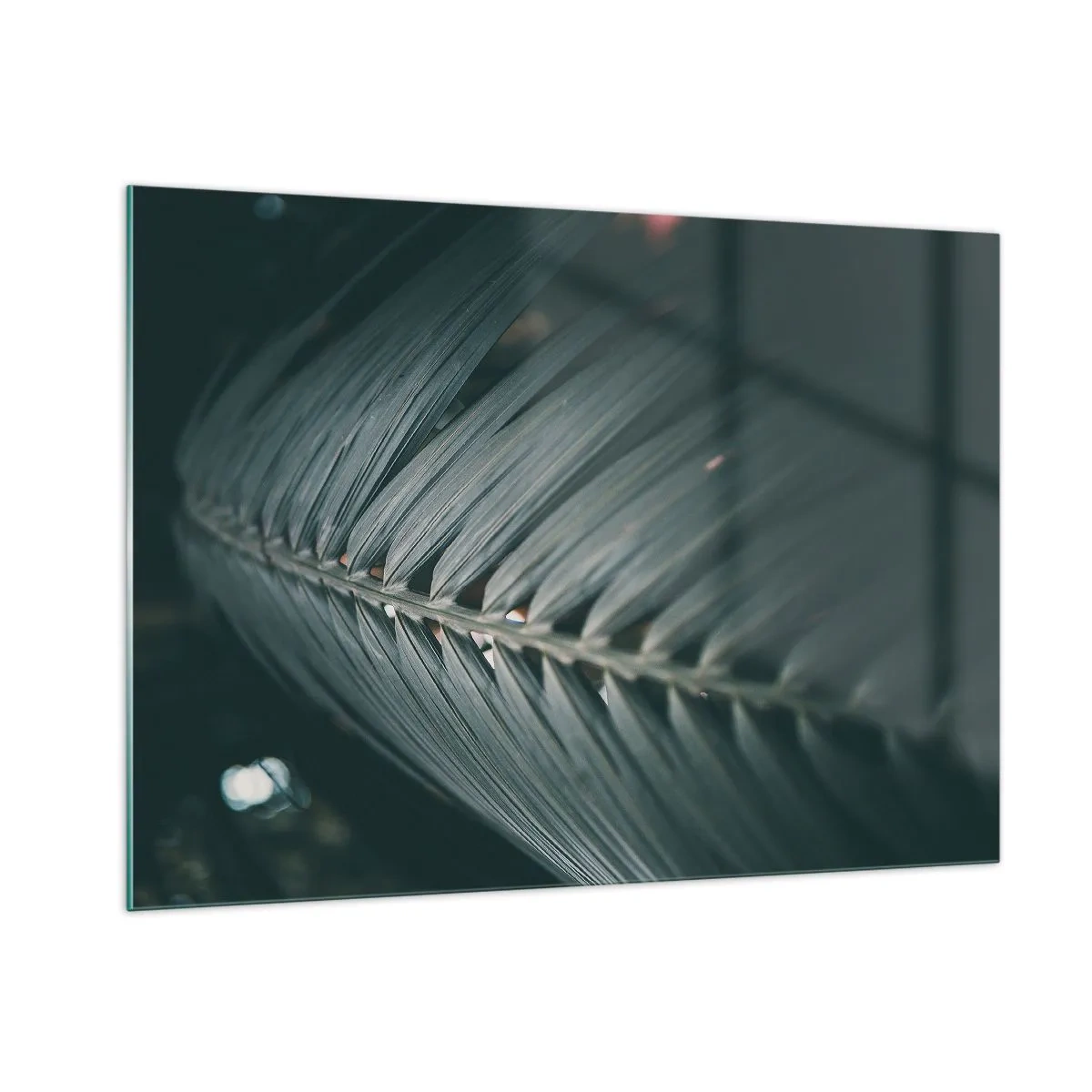 Obraz na skle - Presnosť prírody - 100x70 cm