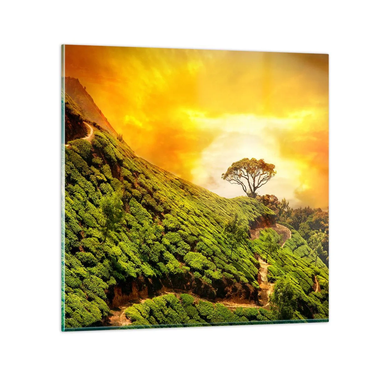 Obraz na skle - Kľukatým chodníkom, zeleným úbočím - 60x60 cm