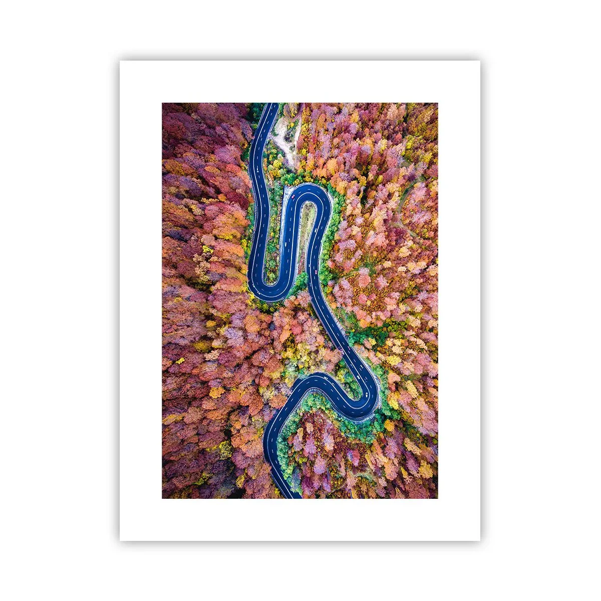 Plagát - Kľukatá cesta lesom - 30x40 cm