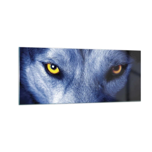 Obraz na skle - Fascinujúci pohľad - 100x40 cm