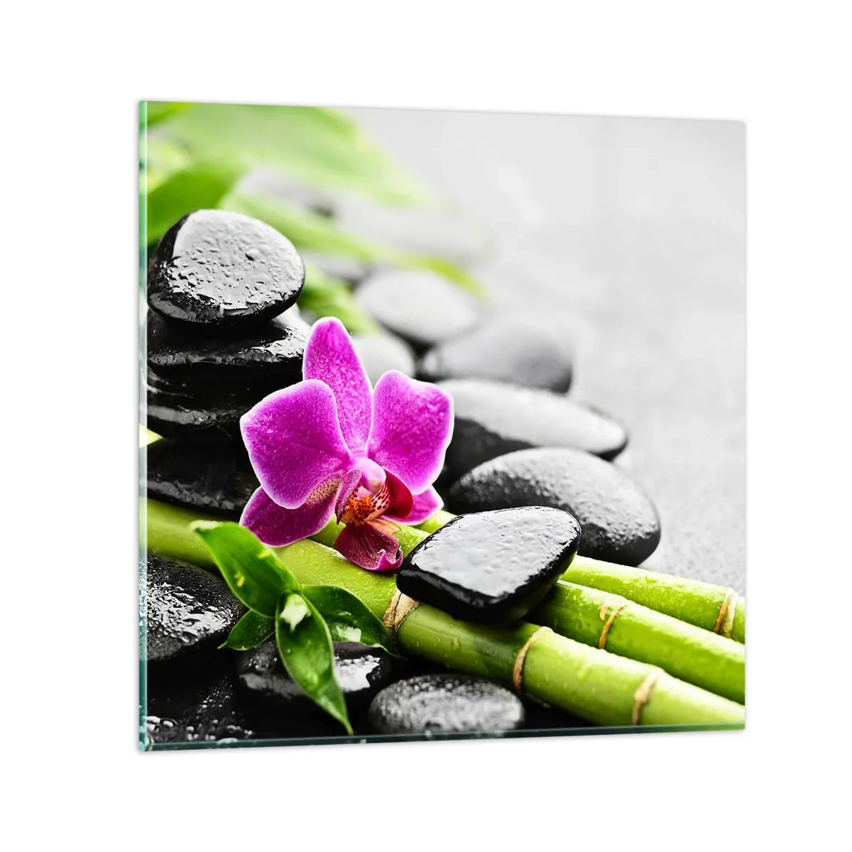 Obraz na skle - V pokojnej rovnováhe - 50x50 cm